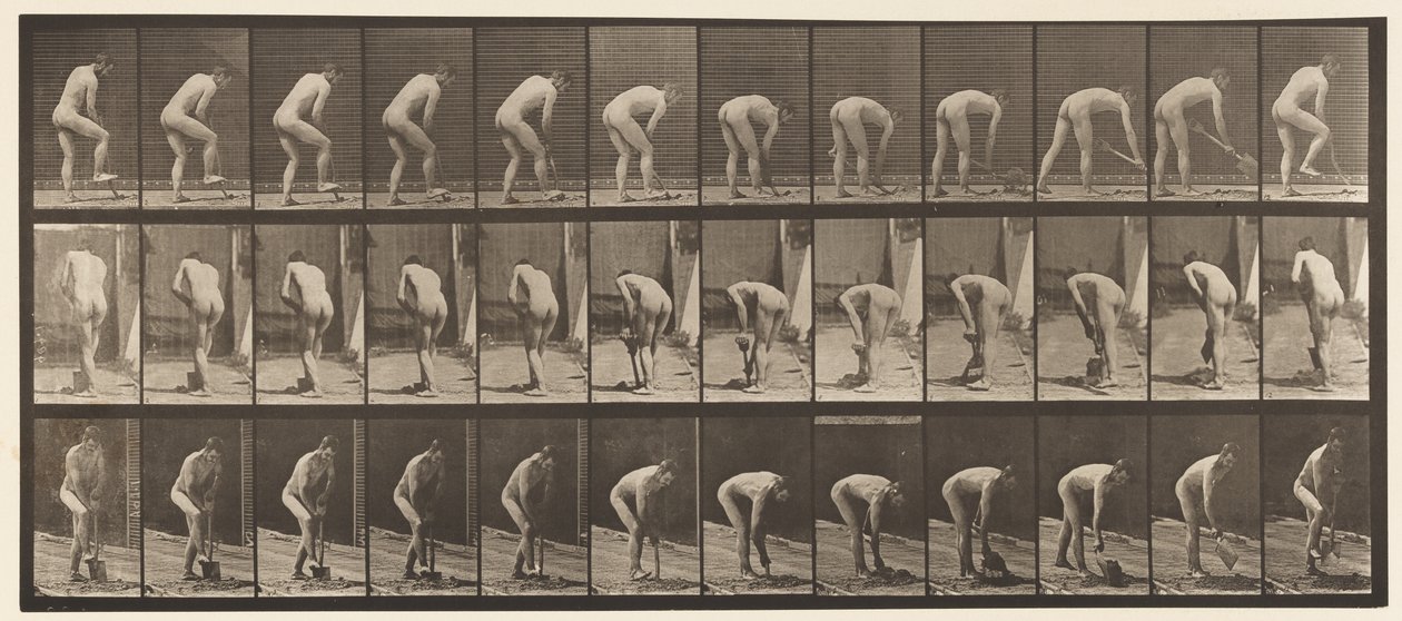 Plåt 388. Bonde, med spade, 1872-1885 av Eadweard Muybridge