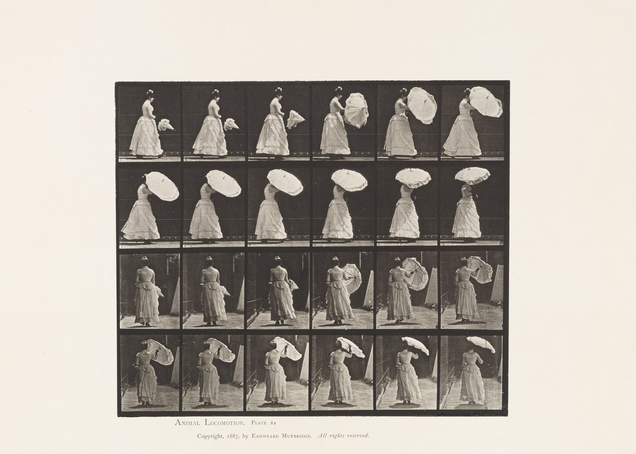 Tavla 38. Walking, öppningsparasoll, 1885 av Eadweard Muybridge
