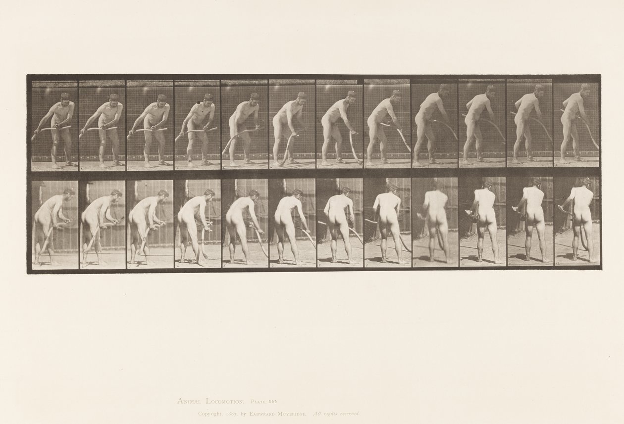 Tallrik 390. Bonde, Slåtter Gräs av Eadweard Muybridge