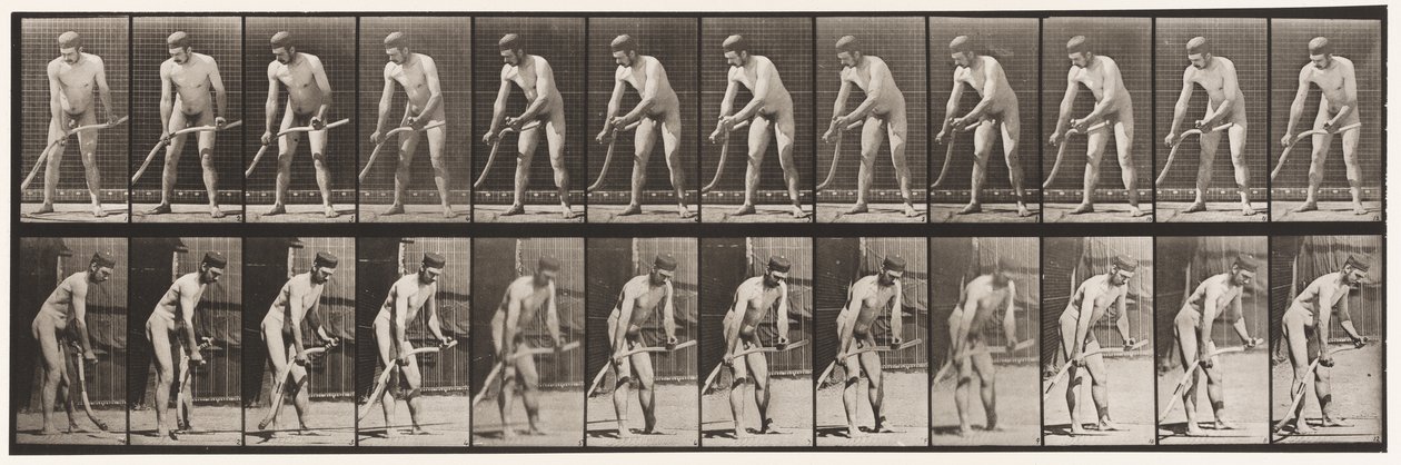 Tallrik 391. Bonde, Slåtter Gräs av Eadweard Muybridge