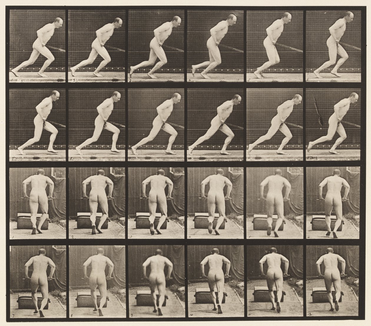 Plåt 393. Pushing a Garden Roller, 1872-1885 av Eadweard Muybridge