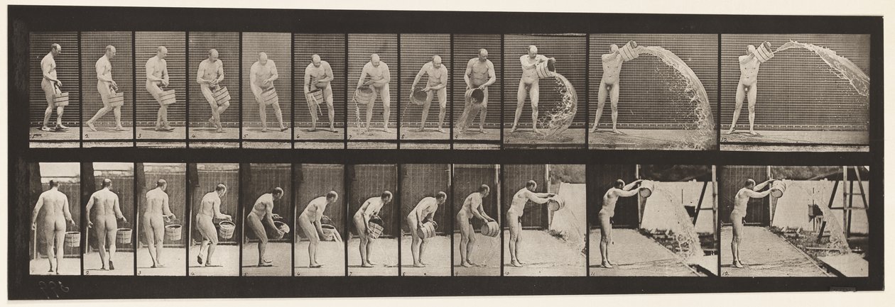 Plåt 399. Tömningshink med vatten, 1872-1885 av Eadweard Muybridge