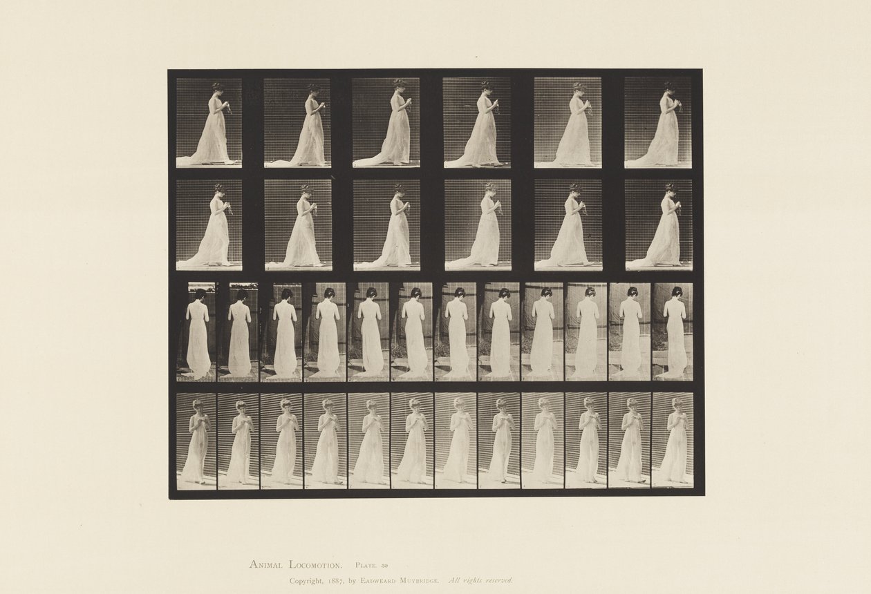 Plåt 39. Walking, Hands Engaged in Sticking, 1872-1885 av Eadweard Muybridge