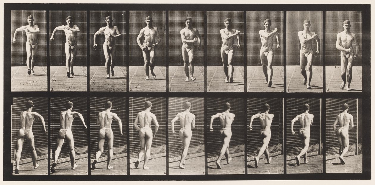 Plåt 3. Gå av Eadweard Muybridge