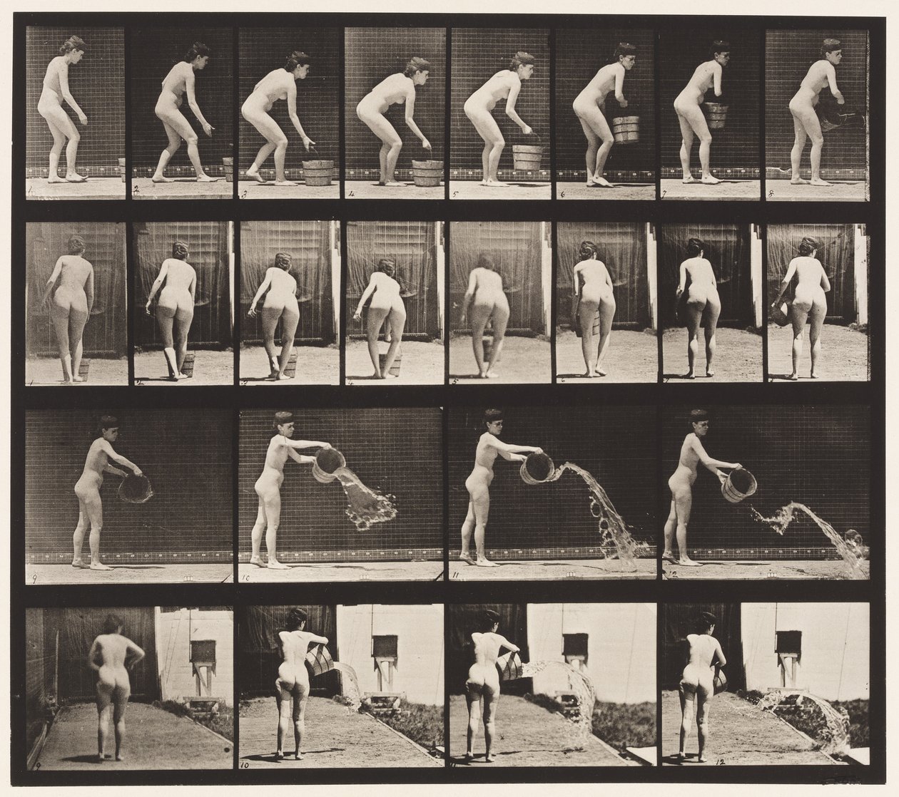 Tallrik 401. Tömningshink med vatten av Eadweard Muybridge
