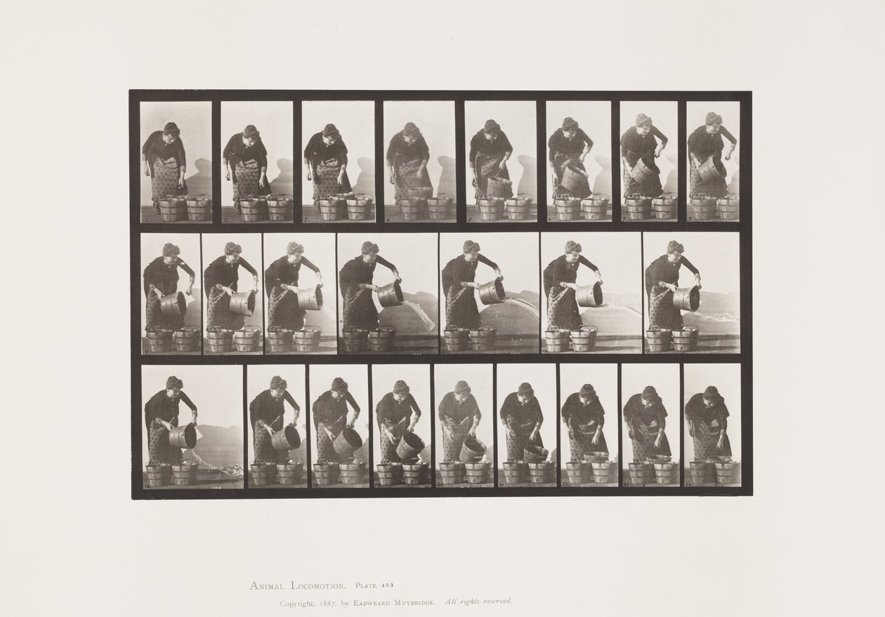 Tallrik 403. Tömningshink med vatten av Eadweard Muybridge