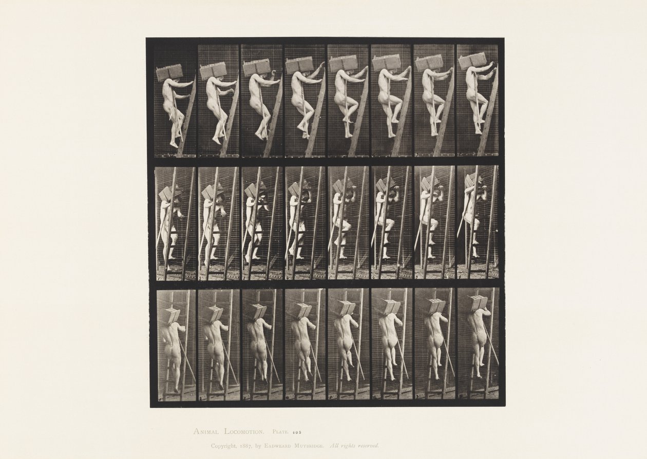 Plåt 405. Bärande hand av tegelstenar uppför en stege, 1872-1885 av Eadweard Muybridge