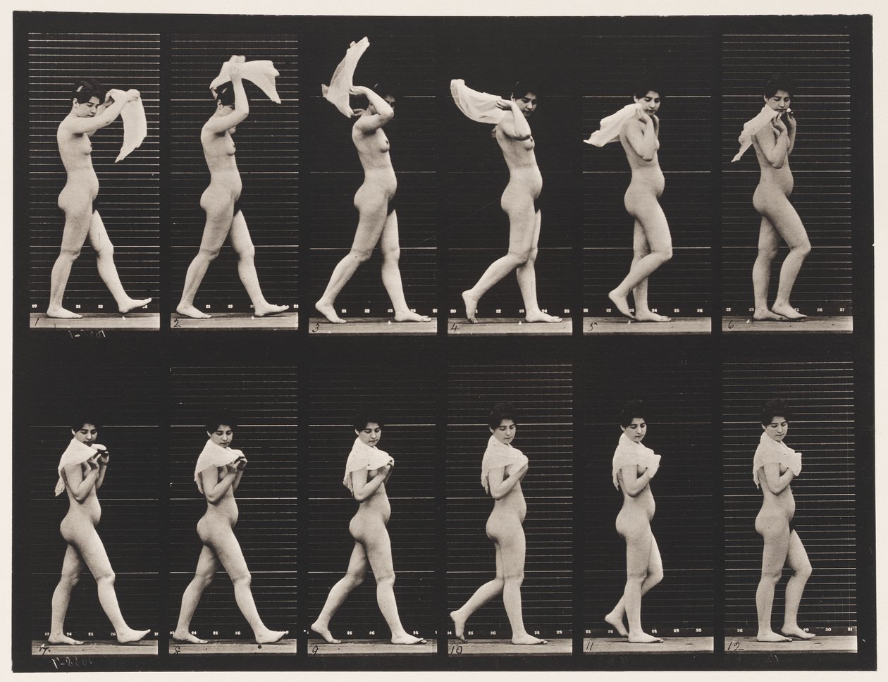 Tallrik 40. Gå, kasta näsduk över axlarna av Eadweard Muybridge