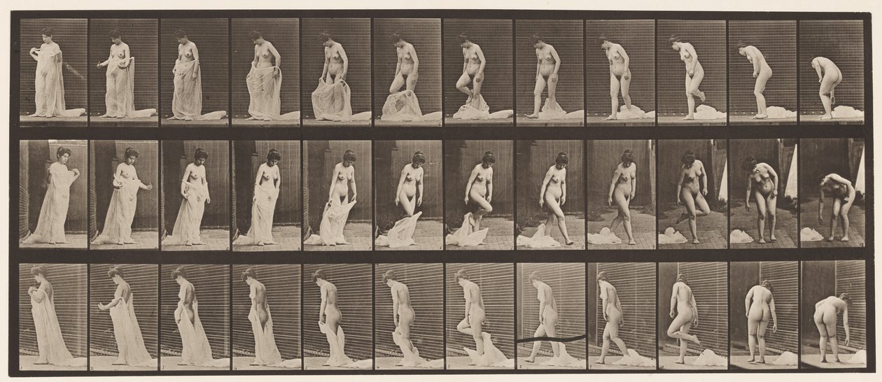 Tallrik 430. Toalett; Att ta av sig kläder, 1872-1885 av Eadweard Muybridge