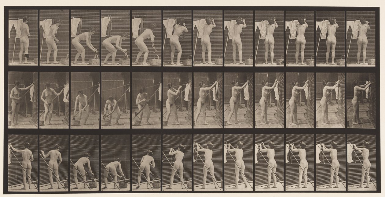 Plåt 434. Hängande kläder på rad, 1872-1885 av Eadweard Muybridge