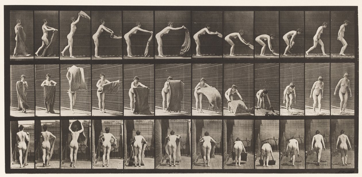 Tallrik 439. Sprider en matta på golvet, 1872-1885 av Eadweard Muybridge