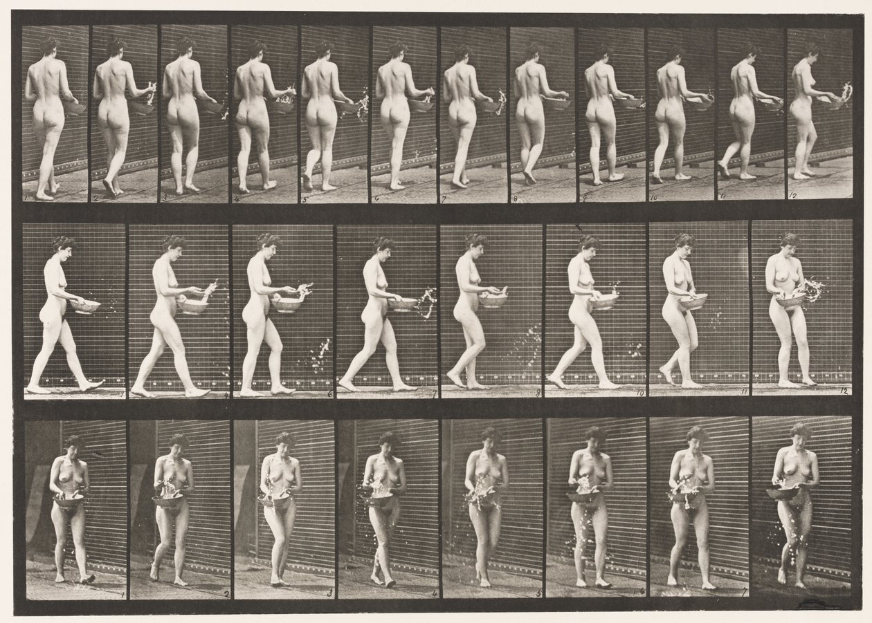 Tavla 43. Gå, stänk vatten från bassängen, vända sig om av Eadweard Muybridge
