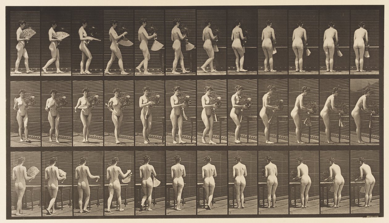 Tallrik 441. Bär vas och ställ den på bordet, 1872-1885 av Eadweard Muybridge