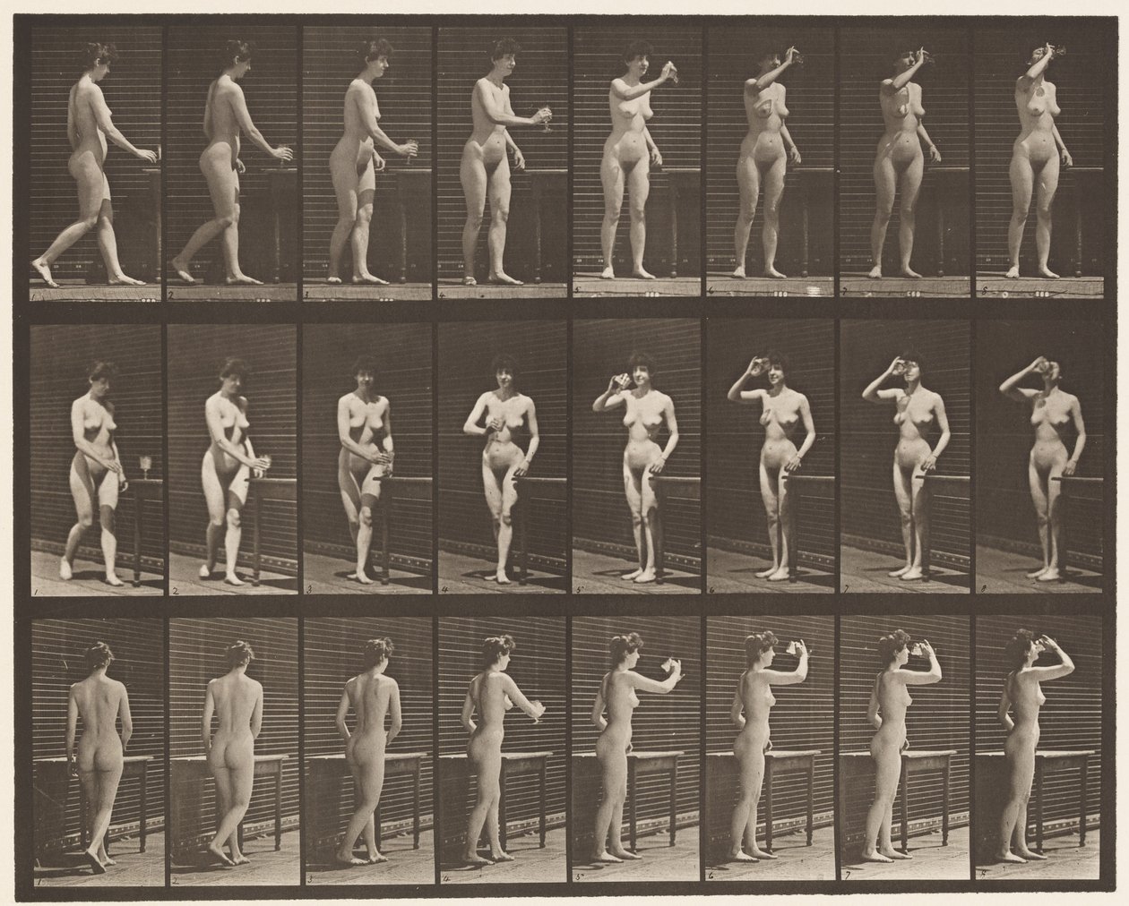 Tallrik 443. Dricker ur en bägare stående av Eadweard Muybridge