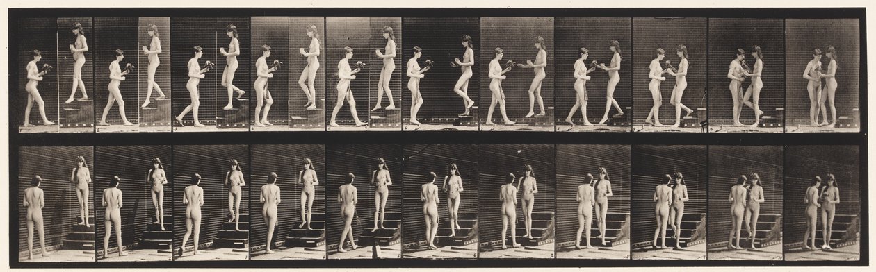 Skylt 448. Två modeller av Eadweard Muybridge