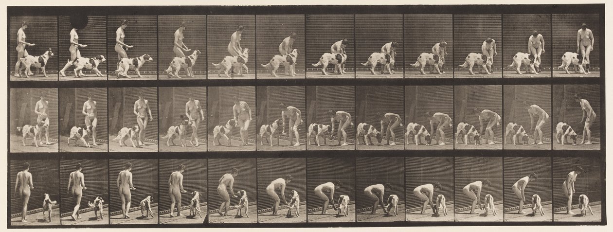 Tallrik 449. Att mata en hund av Eadweard Muybridge