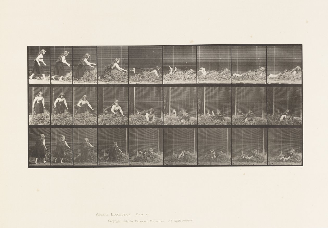 Tavla 455. Kastar själv på höhög av Eadweard Muybridge