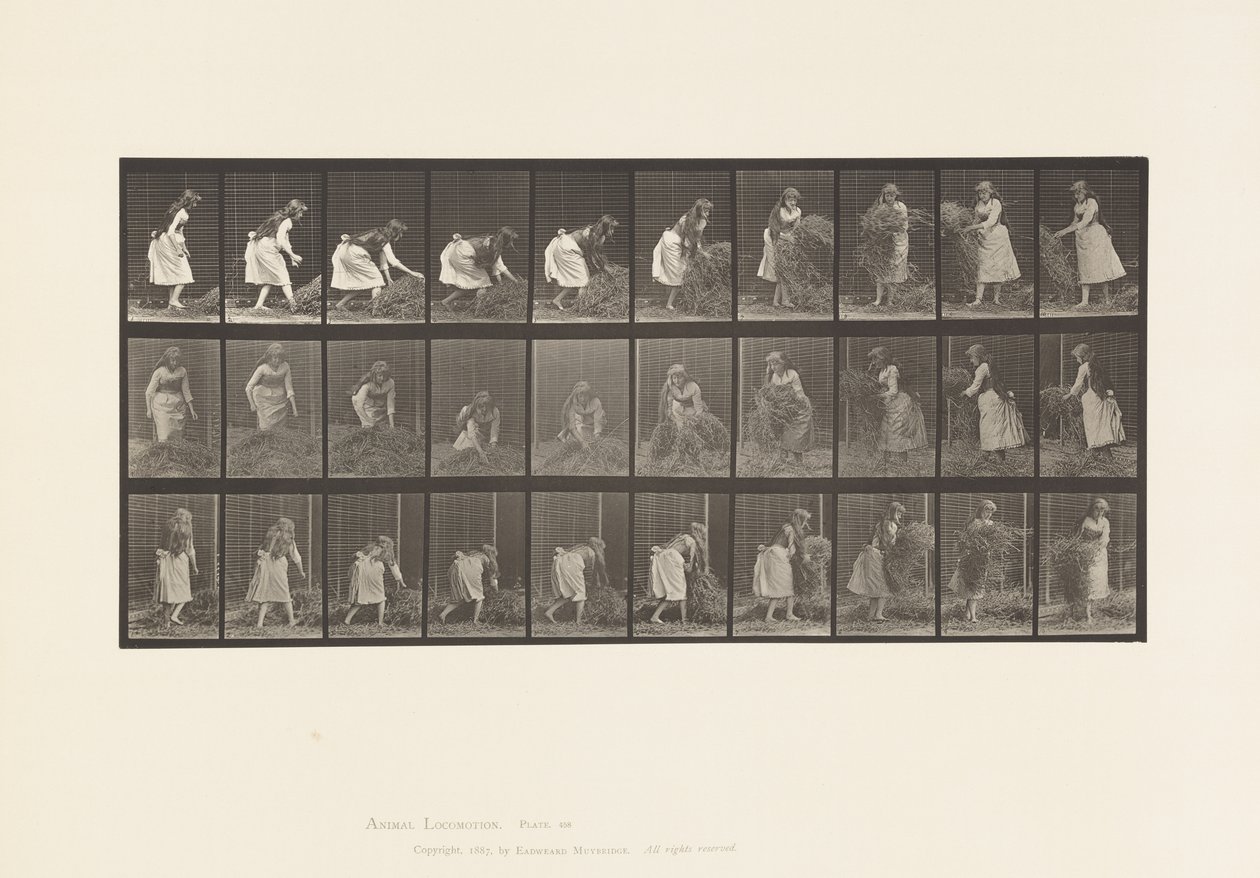 Tallrik 458. Lyfta nävar hö, vända, kasta ner det av Eadweard Muybridge