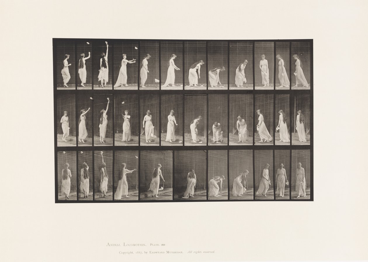 Plåt 463. Att sträcka sig upp, luta sig och vända sig om, 1885 av Eadweard Muybridge