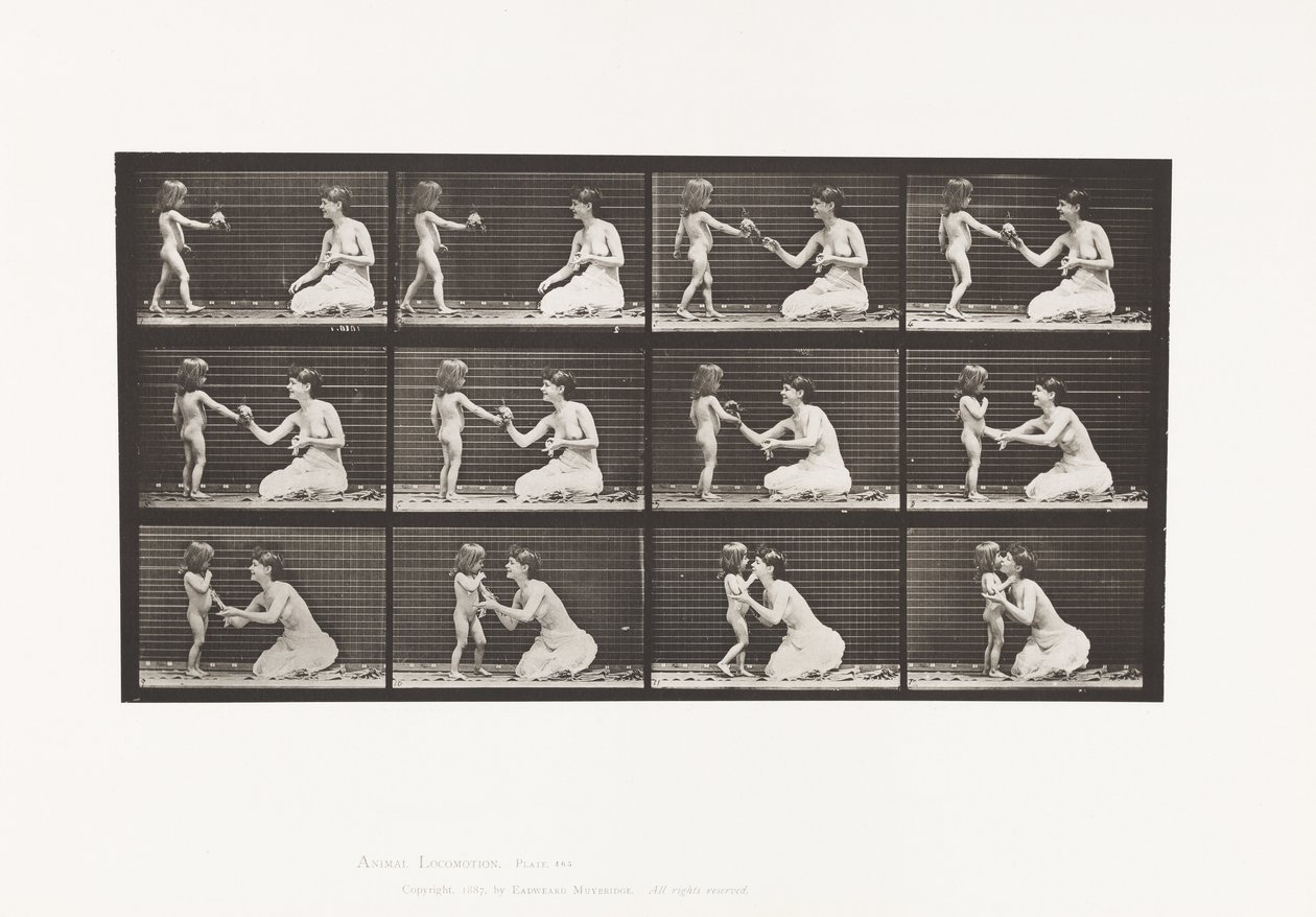 Tallrik 465. Två modeller, barn 70N, tar bukett till 12, 1885 av Eadweard Muybridge