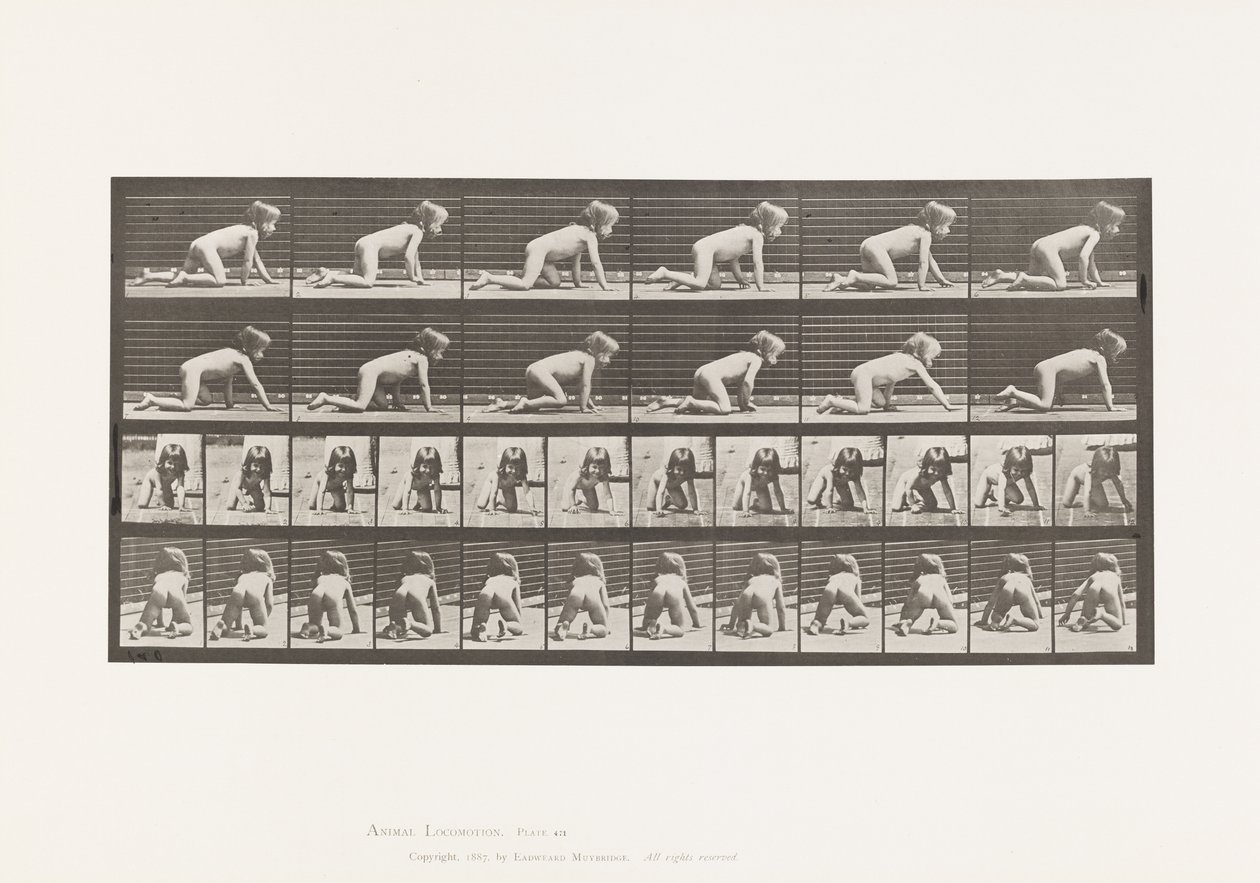 Plåt 471. Barn, Krypande på händer och knän, 1885 av Eadweard Muybridge