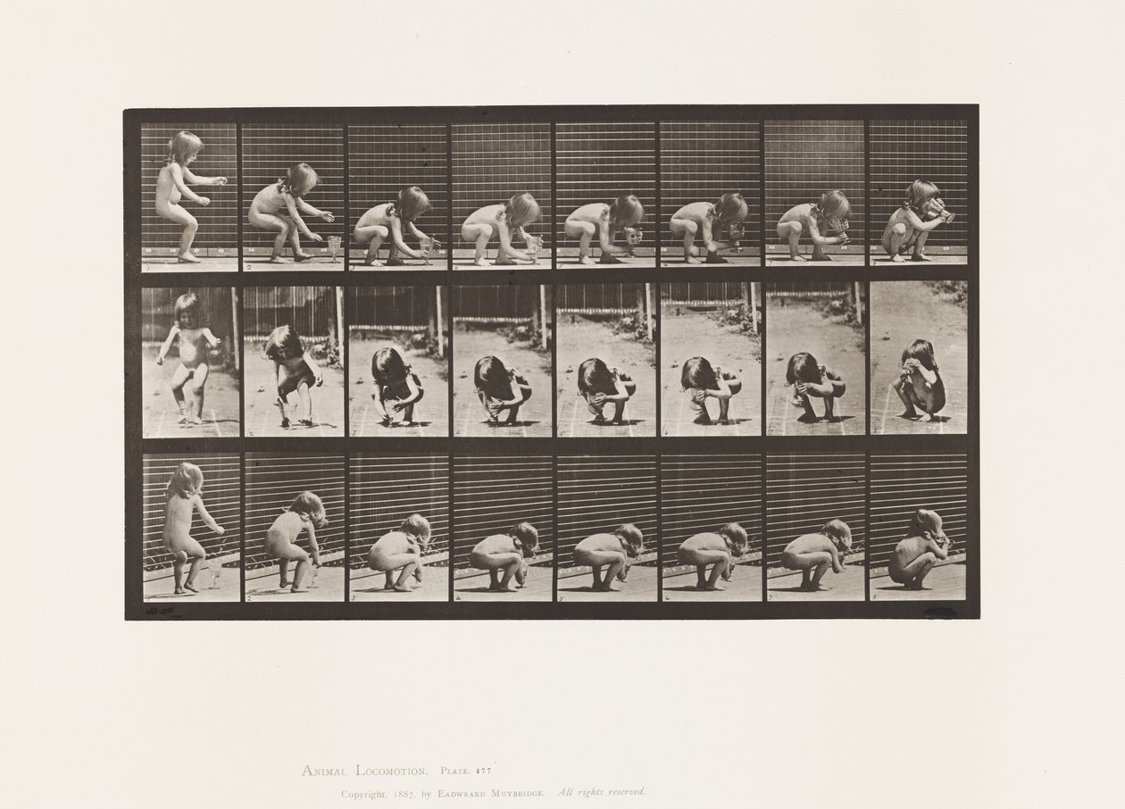 Tavla 477. Barn, böja sig, lyfta en bägare och dricka av Eadweard Muybridge