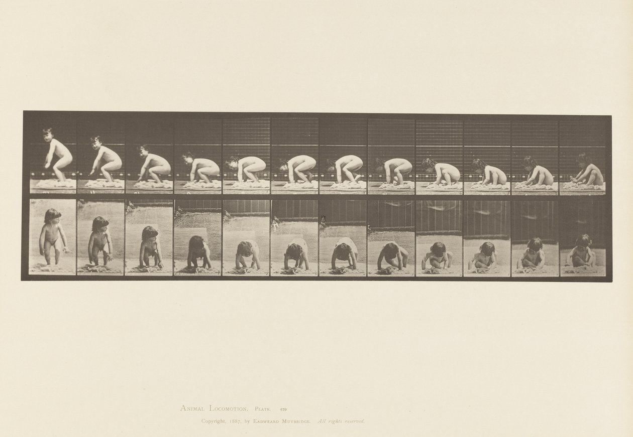 Tallrik 479. Barn, reser sig upp från marken av Eadweard Muybridge