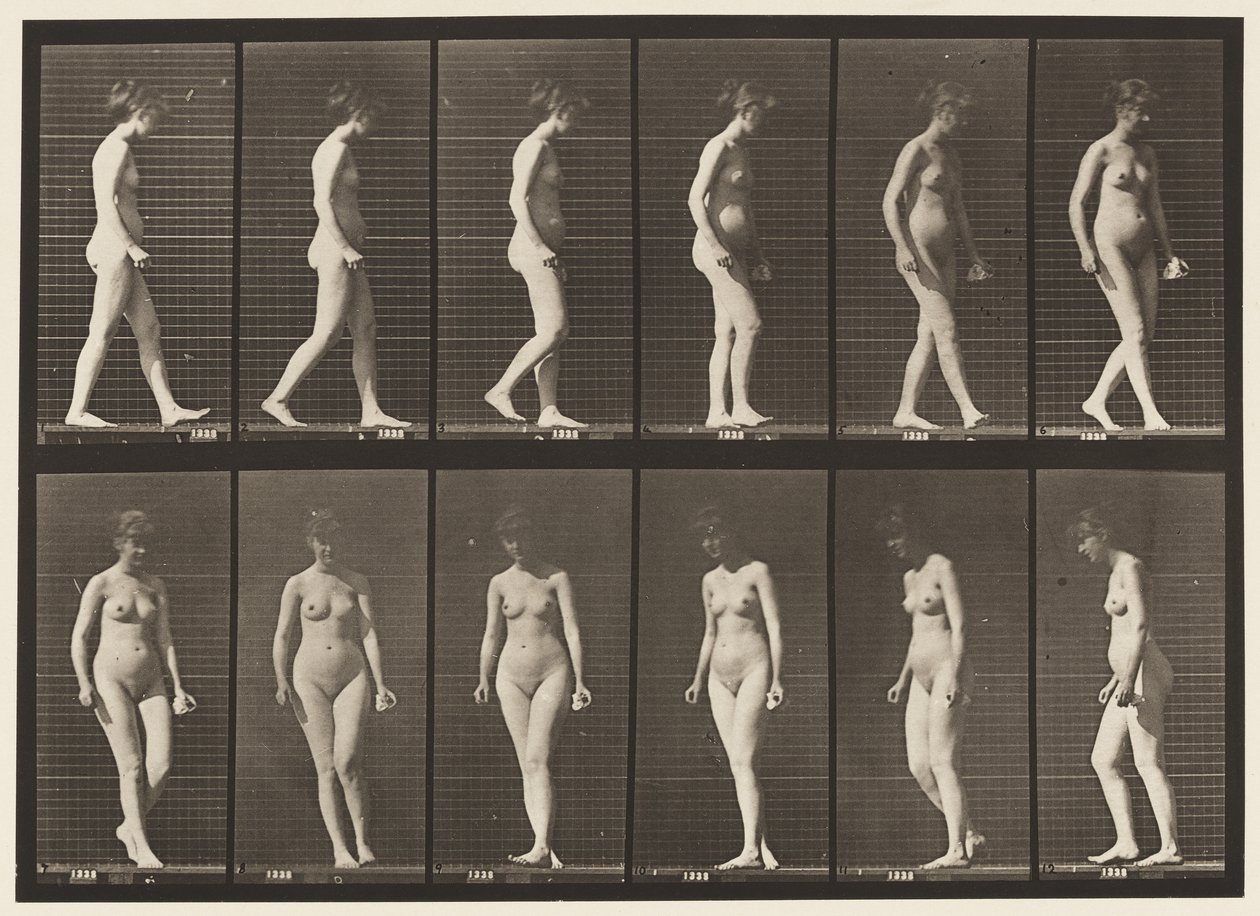 Plåt 47. Gå och vända sig om av Eadweard Muybridge