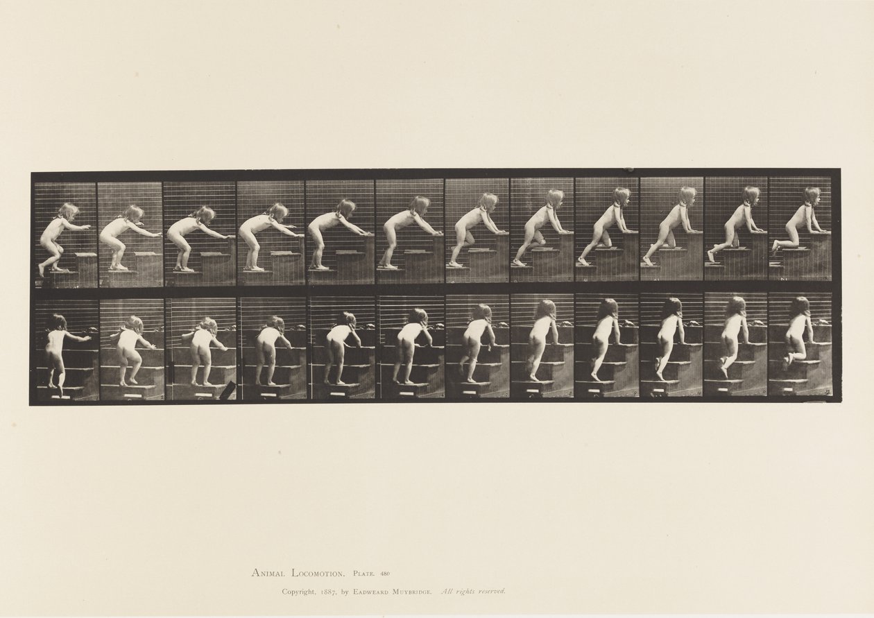 Tallrik 480. Barn, går och kryper på övervåningen av Eadweard Muybridge