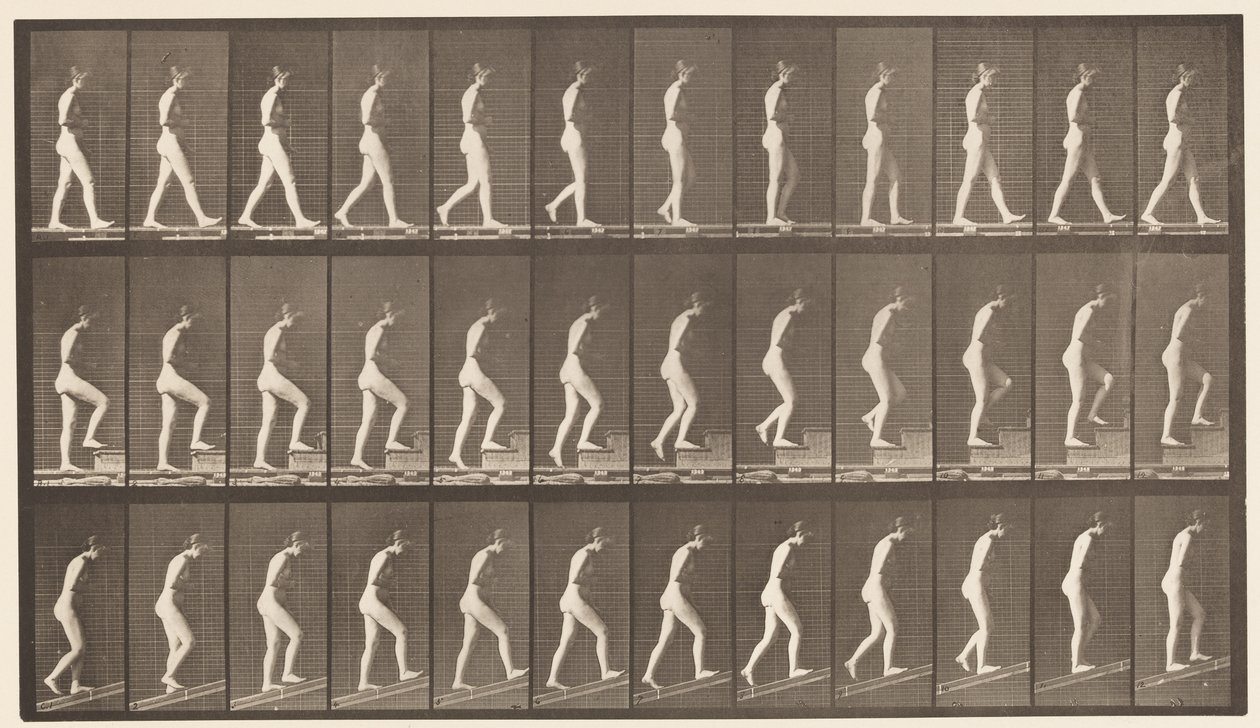 Tavla 482. A, Walking; B, Uppåtgående trappor; C, stigande lutning, 1872-1885 av Eadweard Muybridge