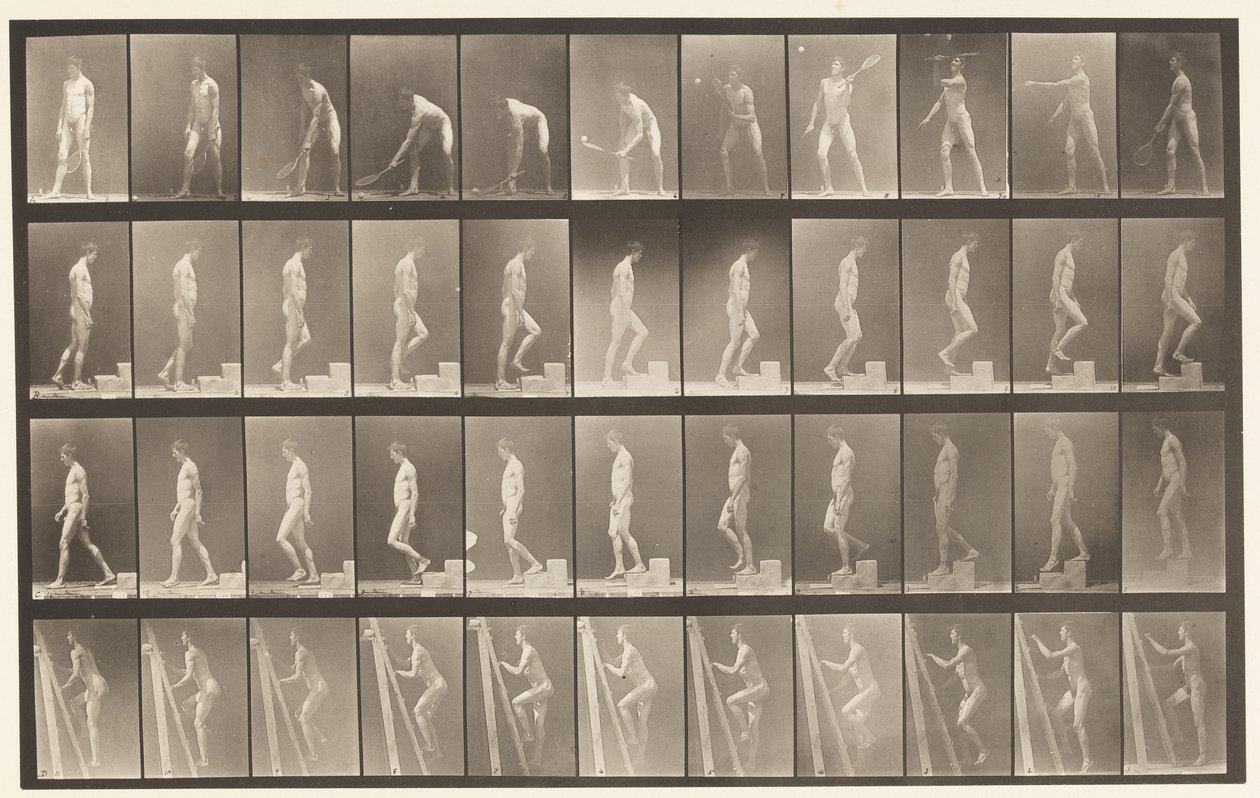 Tallrik 486. A, Grästennis; B, Stigande ett steg;, 1872-1885 av Eadweard Muybridge