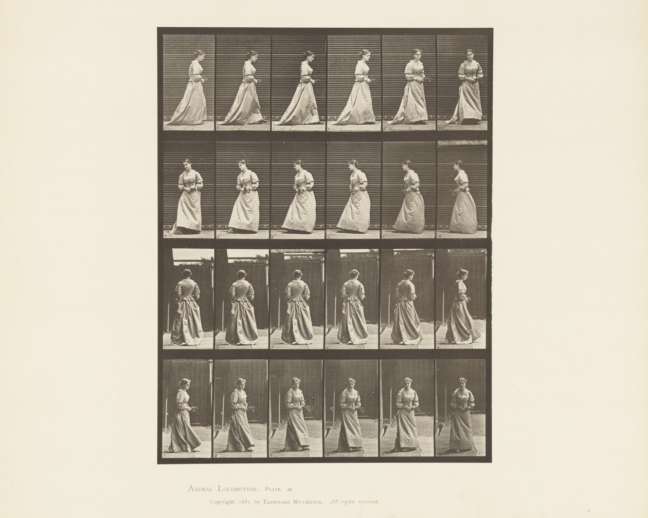 Tavla 48. Gå och vända sig om bukett i båda händerna, 1885 av Eadweard Muybridge