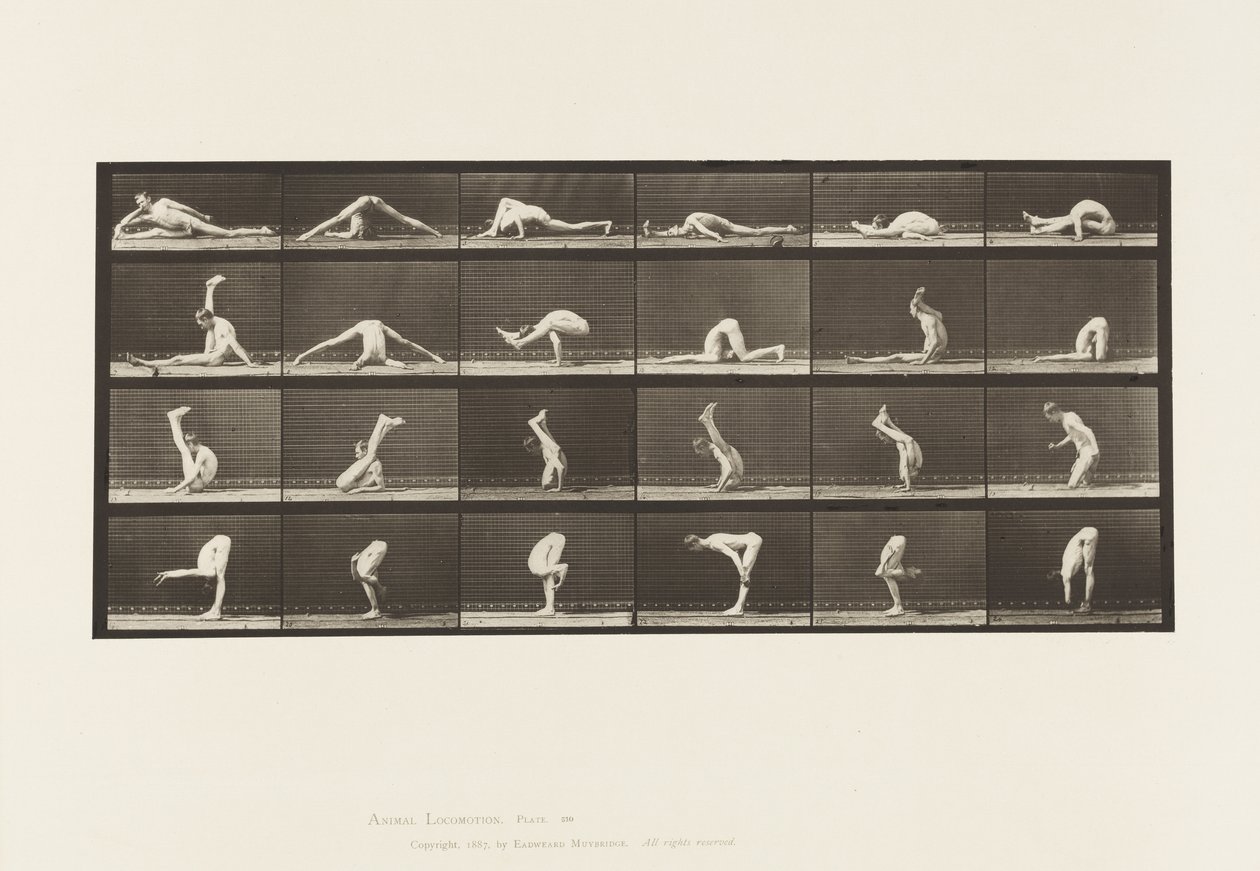 Plåt 510. Vridningar på marken, 1872-1885 av Eadweard Muybridge