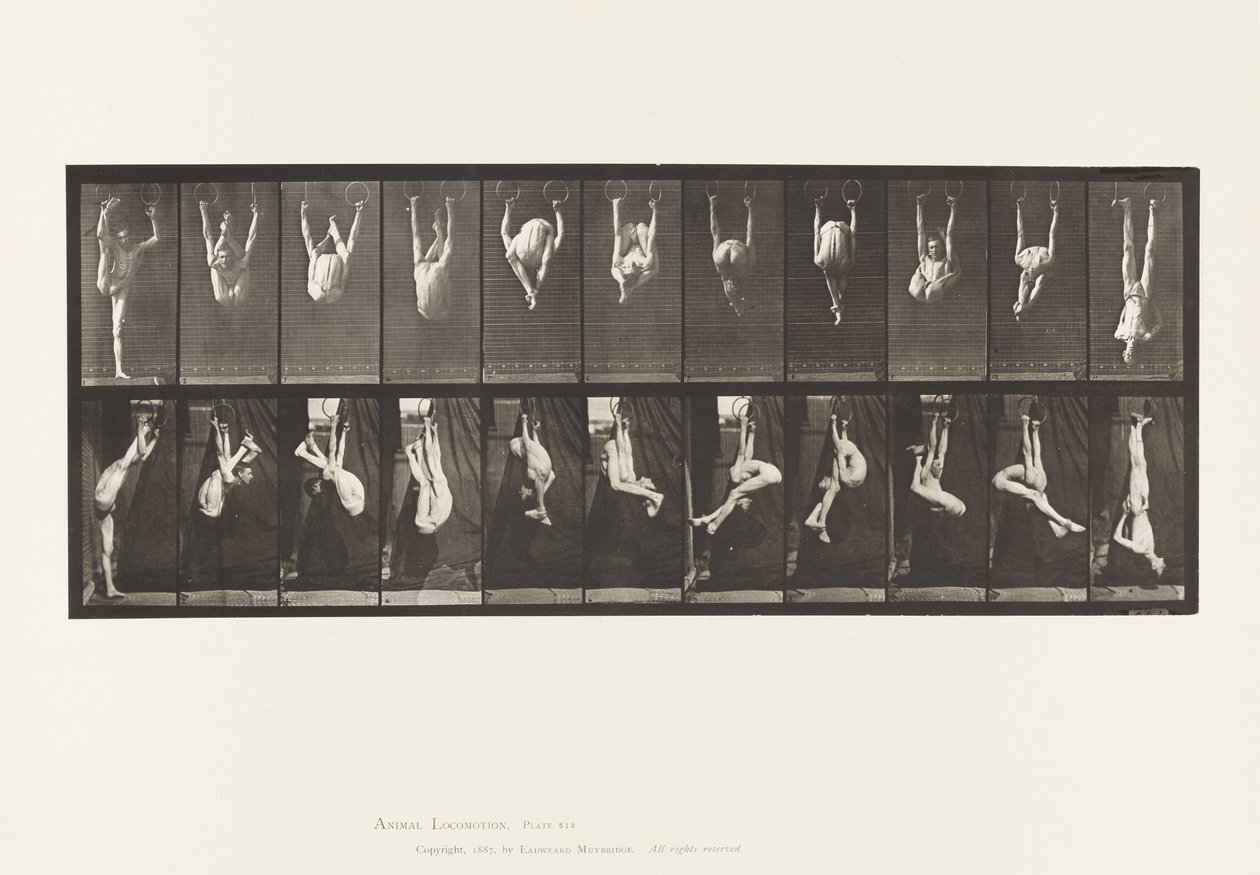 Plåt 512. Vridningar på ringar av Eadweard Muybridge