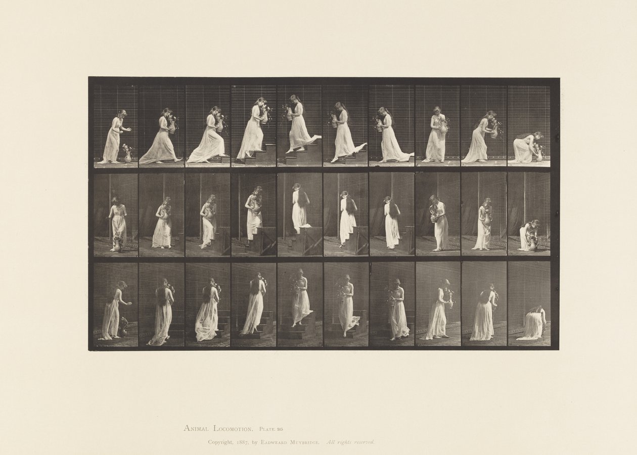 Tavla 515. Uppåtgående och nedåtgående trappor, etc., 1885 av Eadweard Muybridge
