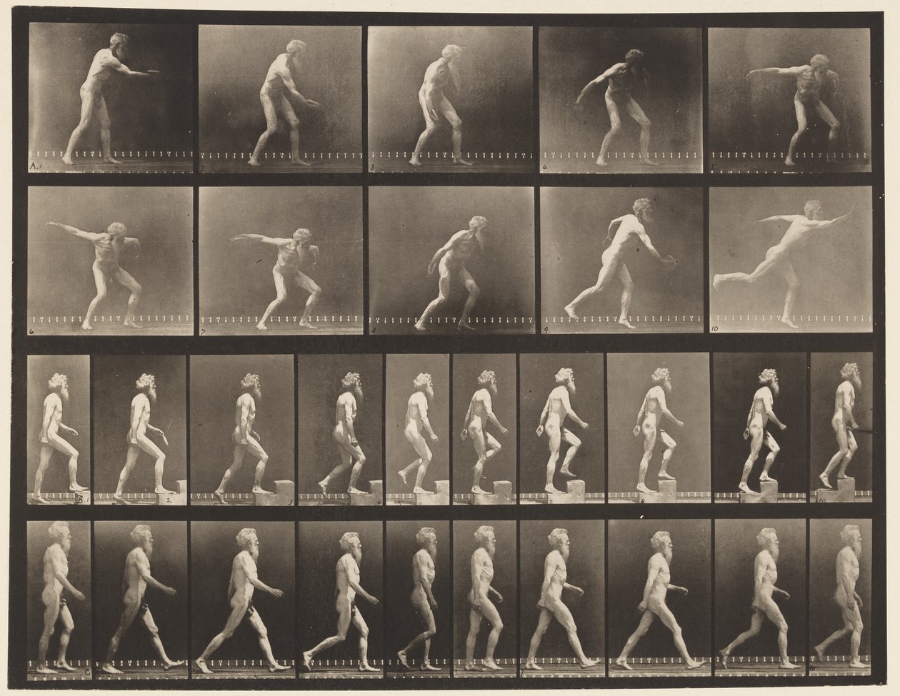 Plåt 519. A, Kastskiva; B, Stigande steg; C, Walking., 1872-1885 av Eadweard Muybridge