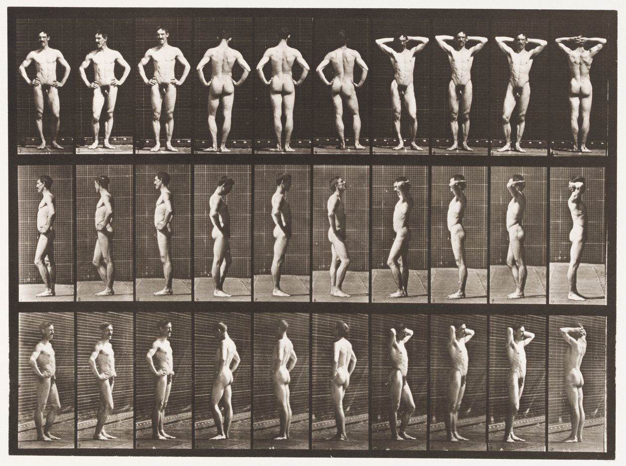 Tallrik 530. Olika Poser av Eadweard Muybridge