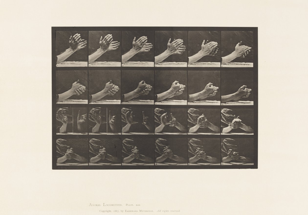 Tallrik 533. Handens rörelse; knäpper händerna, 1885 av Eadweard Muybridge