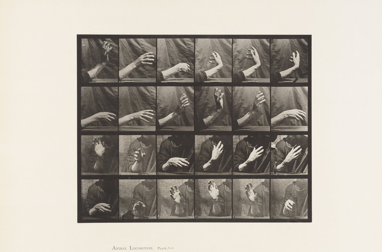 Tavla 535. Handens rörelse; Beating Time, 1885 av Eadweard Muybridge