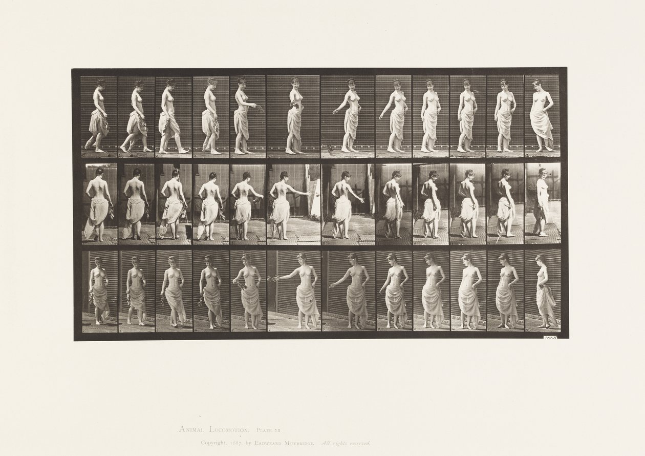 Tavla 53. Gå, spridning av blommor och vändning av Eadweard Muybridge
