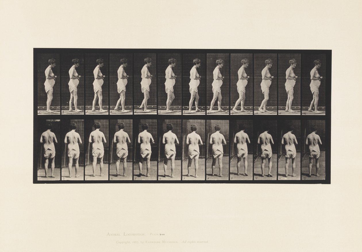 Tallrik 542. Multipel cerebro-spinal skleros - promenader av Eadweard Muybridge