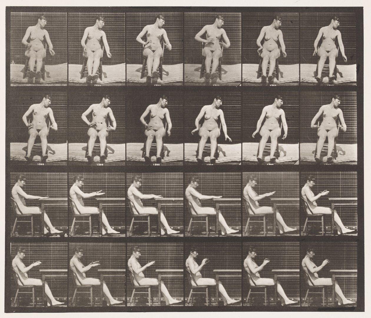 Platta 545. Artificiellt framkallade konvulsioner; A,B, medan du sitter av Eadweard Muybridge