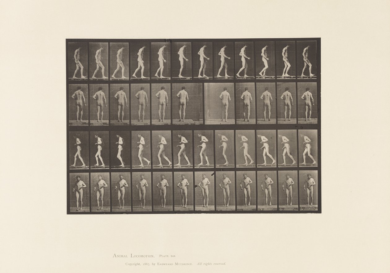 Platta 548. Lateral skleros; A,B, Walking, 1885 av Eadweard Muybridge