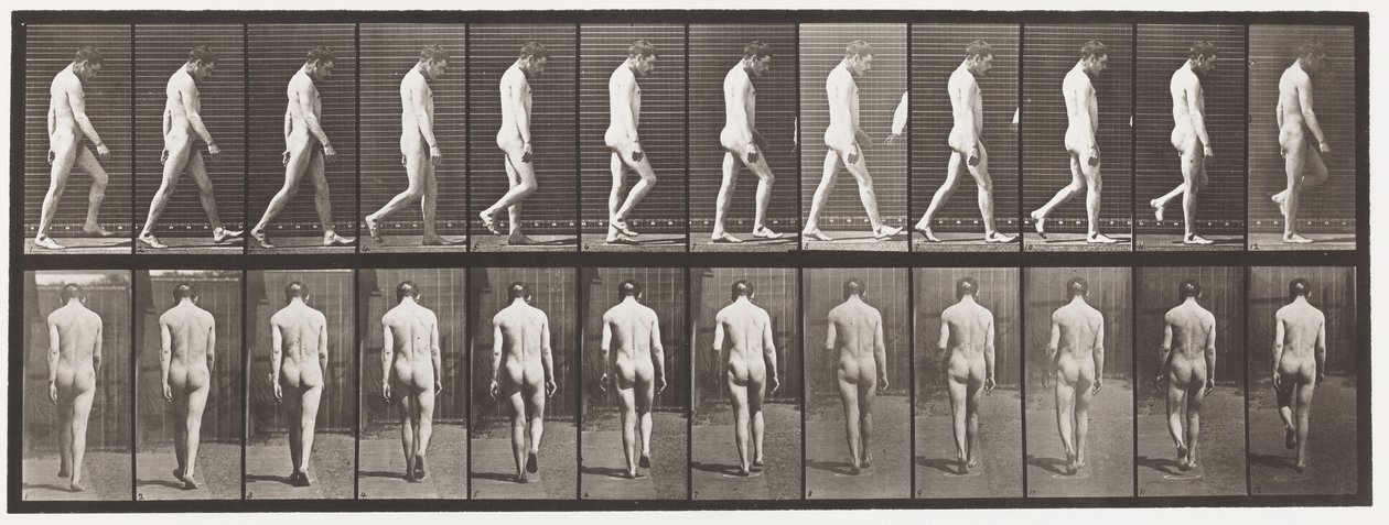 Plåt 549.Epilepsi; Vandring, 1885 av Eadweard Muybridge