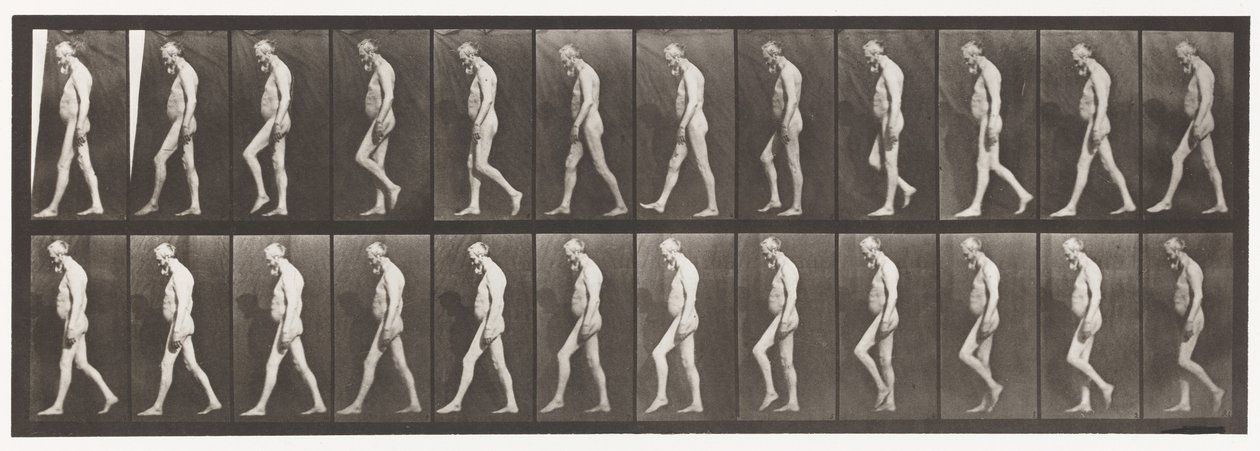 Tavla 555. Muskelatrofi av ben; Vuxen, A,B, Walking, 1885 av Eadweard Muybridge