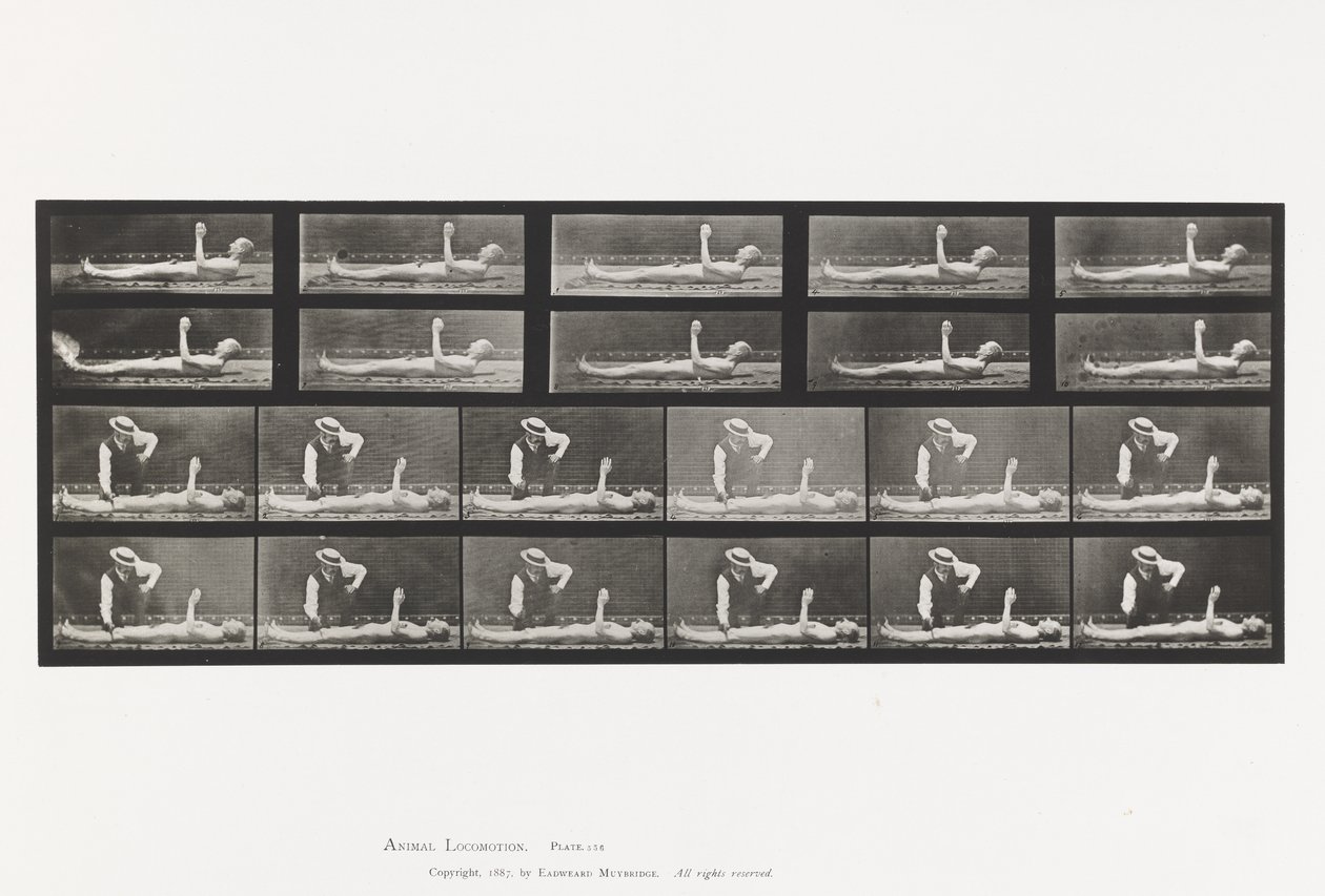 Tallrik 556.Local Chorea; A, B, medan du ligger av Eadweard Muybridge