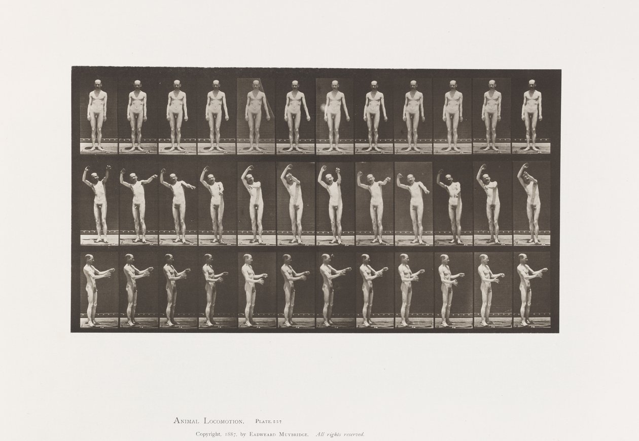 Tallrik 557.Local Chorea; A, B, C, Stående, 1885 av Eadweard Muybridge