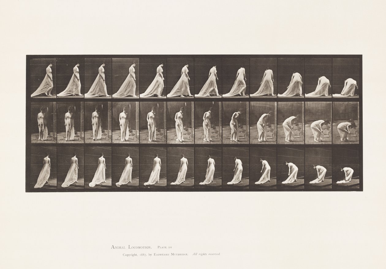 Plåt 56. Gå, vända och luta sig för att lyfta tåget av Eadweard Muybridge