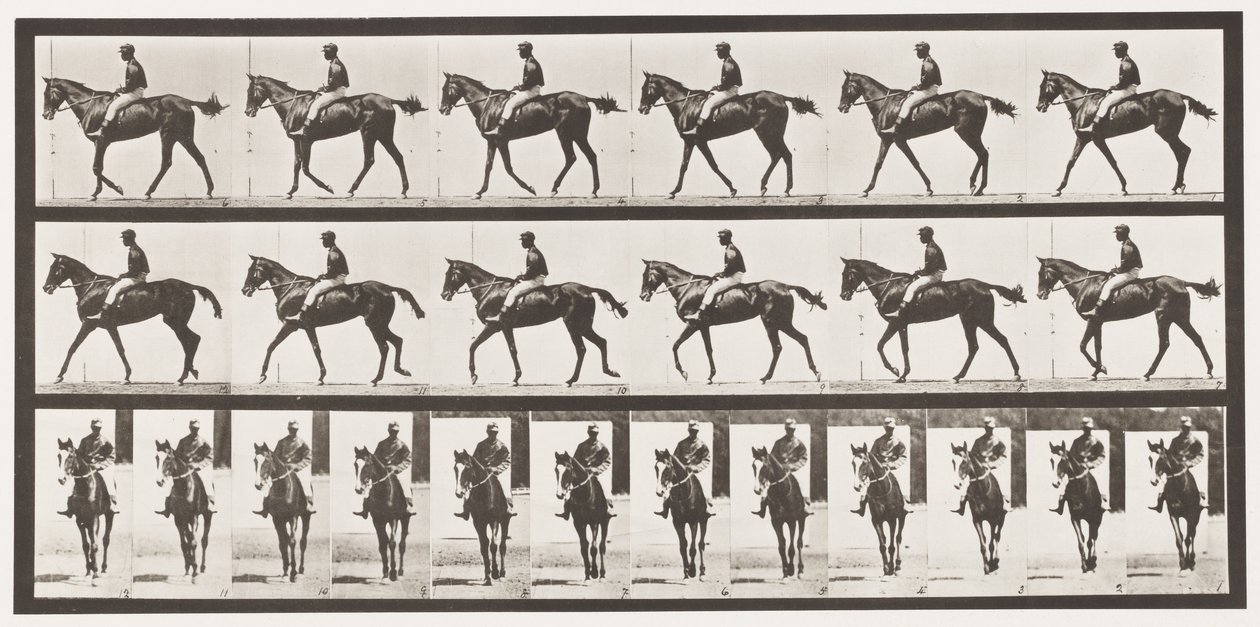 Tallrik 580.Gående; Sadel; Fullblods Bay Mare Annie G., 1885 av Eadweard Muybridge