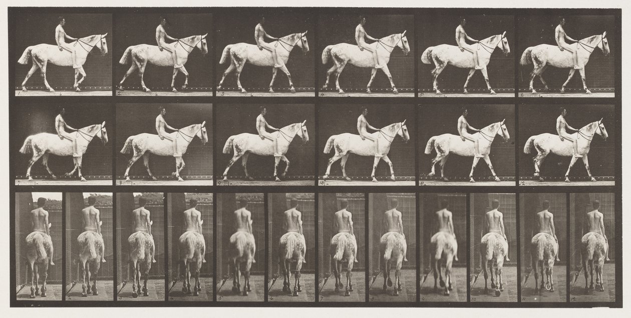 Tavla 581.Walking;Bareback;Rider,43, Naken; Ljusgrå häst Smith, 1885 av Eadweard Muybridge